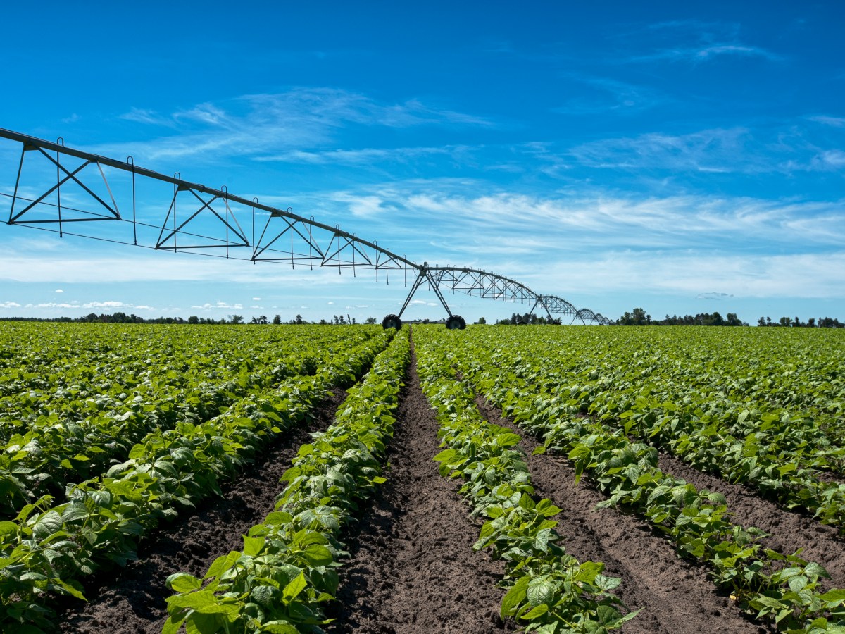 Minnesota Irrigation Continues to Play a Critical Role in Crop&nbsp;Production