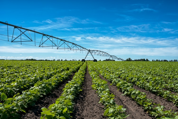 IAM Supporting new sciencebased research on irrigation management