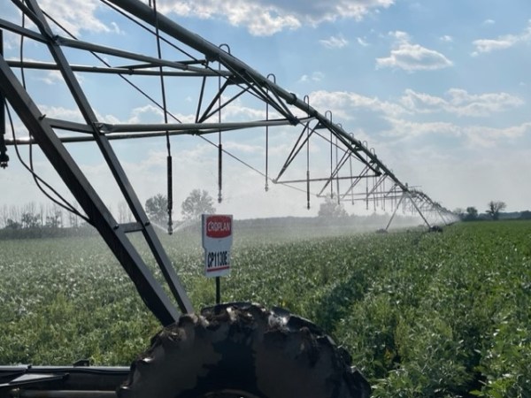 Make Your Voice Heard on Minnesota’s Groundwater Protection&nbsp;Rule