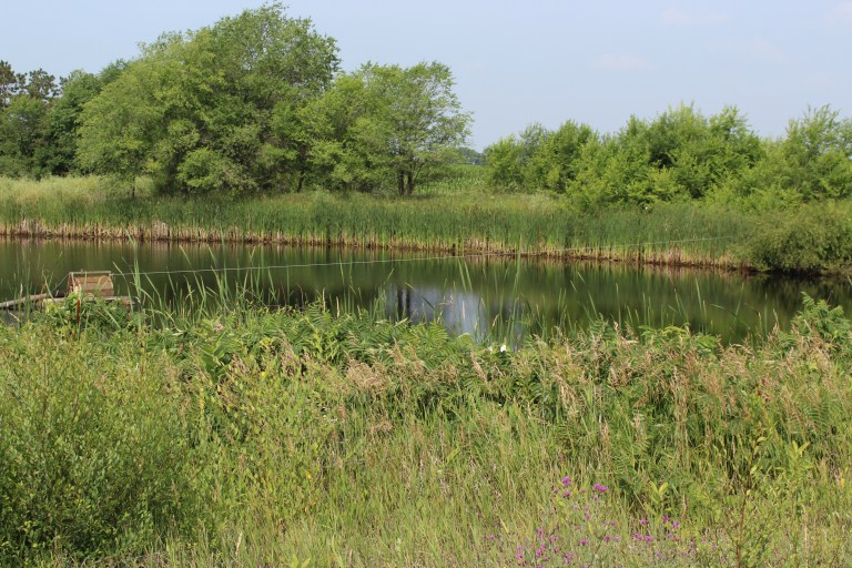 Minnesota Celebrates One Million Acres Certified for Water Quality – IAM