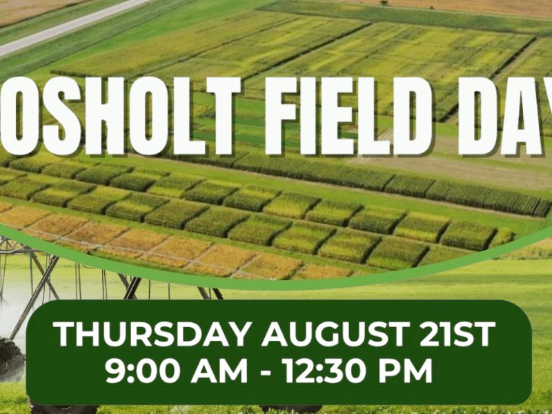 Rosholt Field Day Set for August 21: Explore Irrigation Innovation and Soil&nbsp;Health